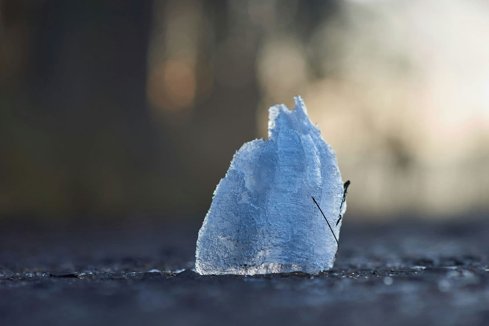 Distinguishing among climate change-related risks
