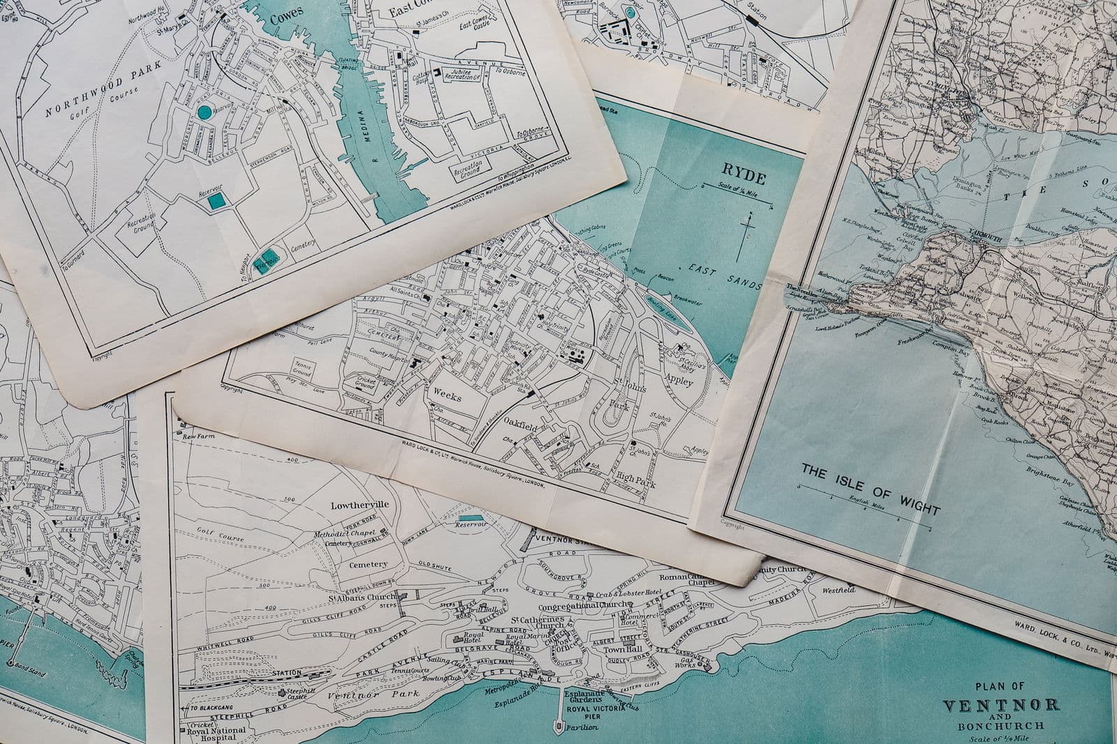 Mapping the biodiversity startup ecosystem
