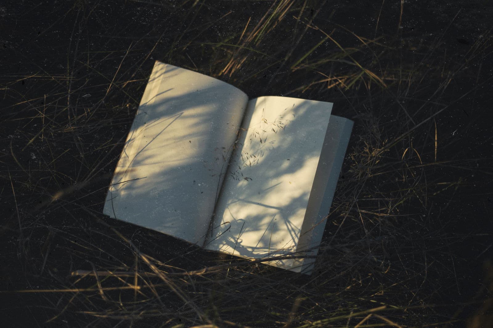 Book Review: When carbon credits come alive, literally