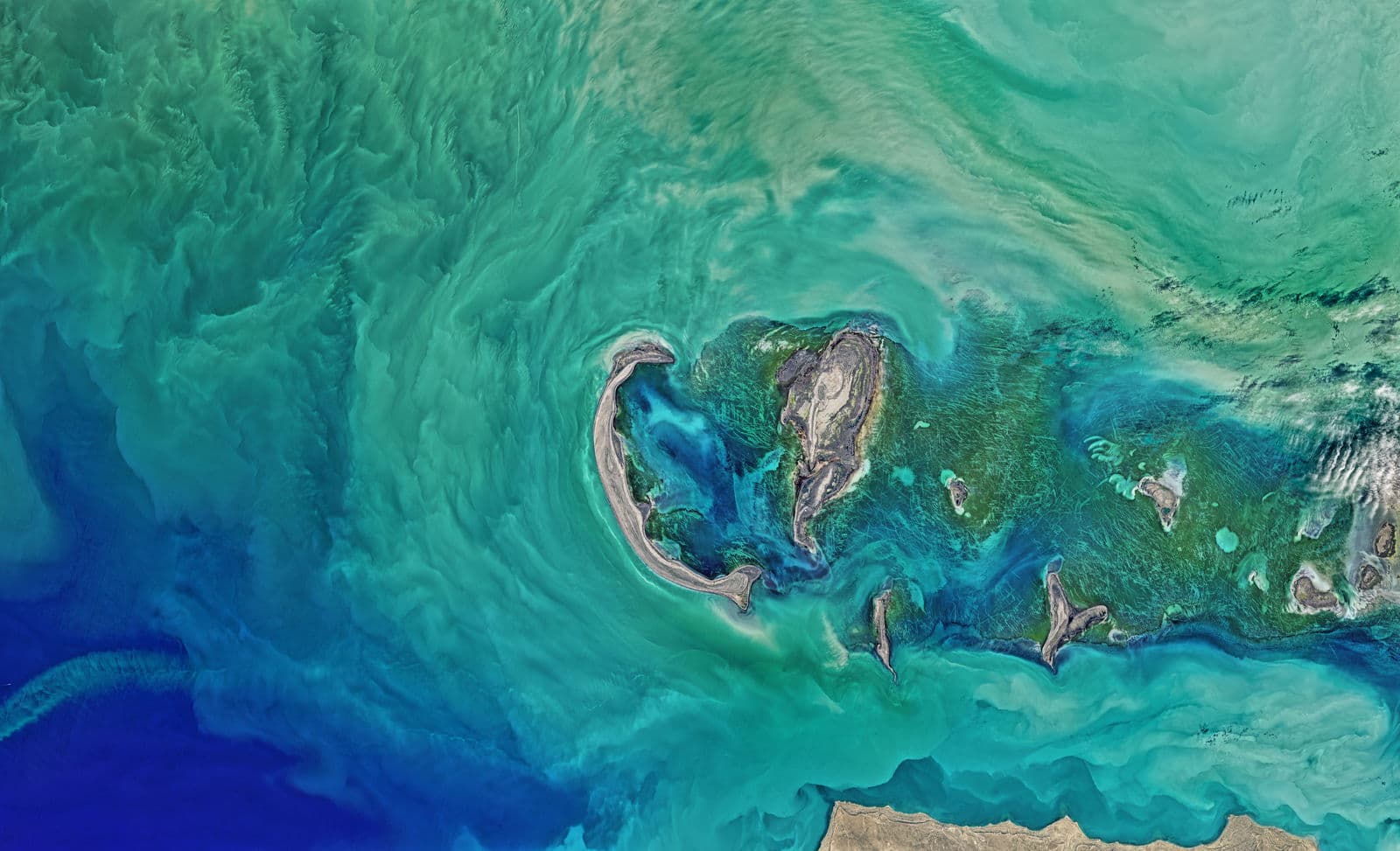 Event | COP28 Debrief: Charting the Climate's Future 
