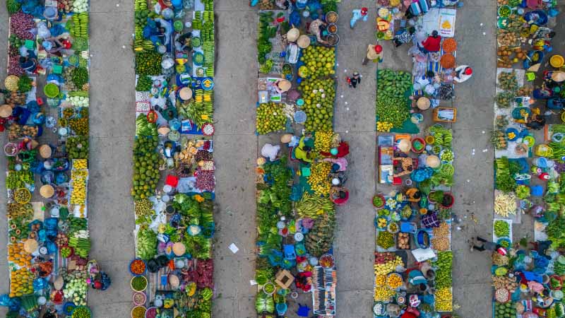 Visa: Surveying and connecting with financial institutions’ sustainability decision makers