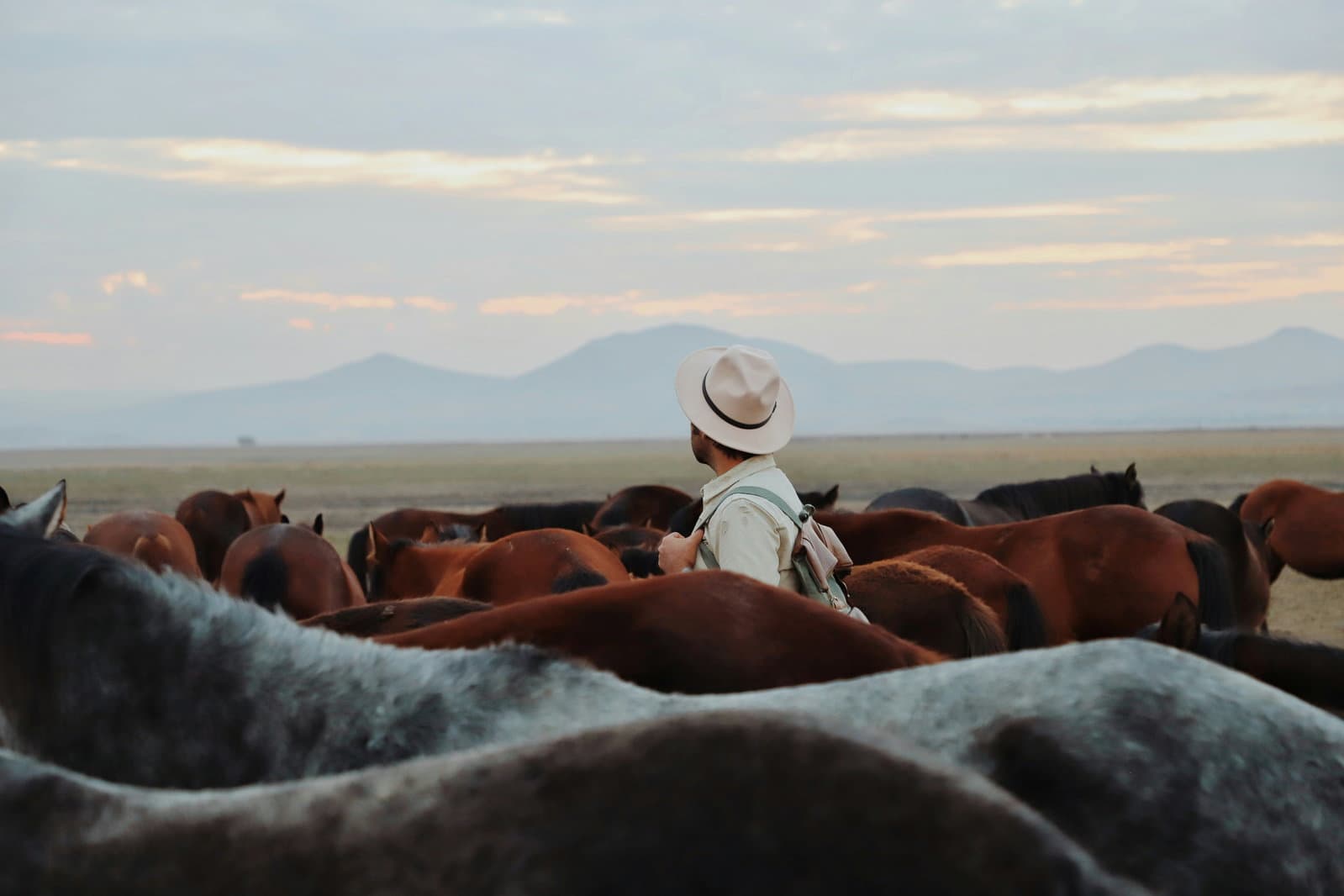 From ranch to reform: The man turning markets into environmental tools