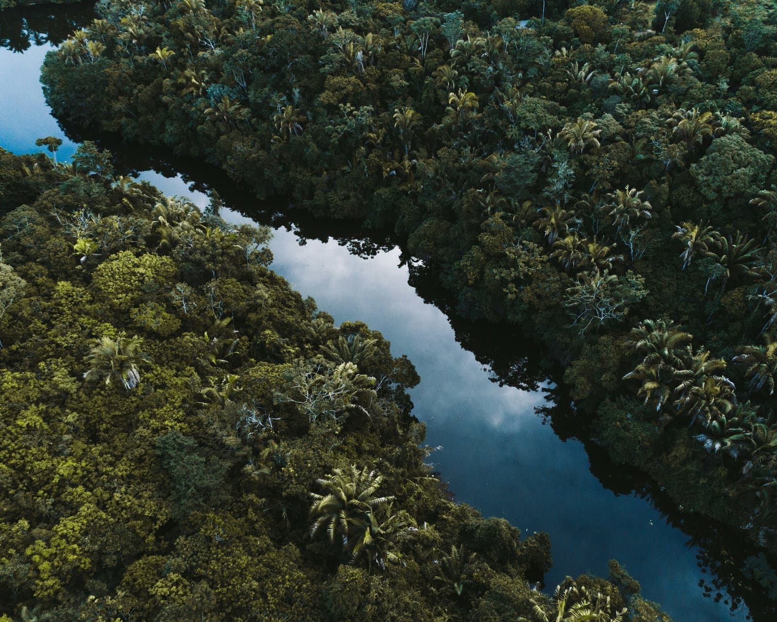 Ecuadorian Amazon: The current situation of the Huaorani’s struggle