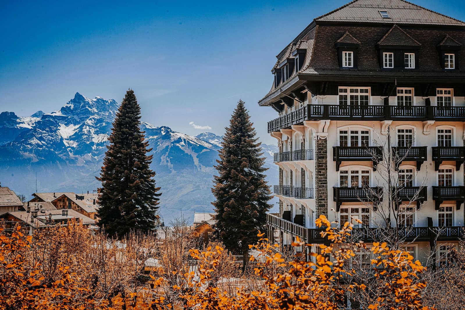 Villars Institute: Creating the world’s leading happening on the nature agenda