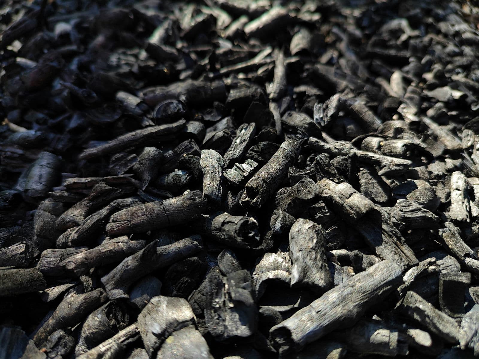 SBTi 2.0_v2: What the latest draft means for CDR