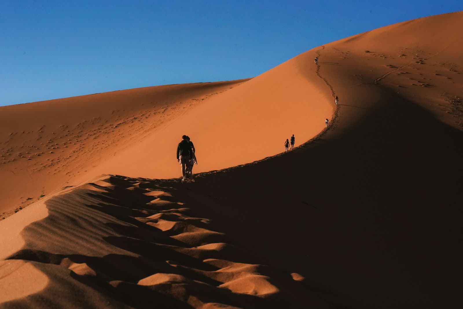 The Arab region’s quiet sustainability revolution