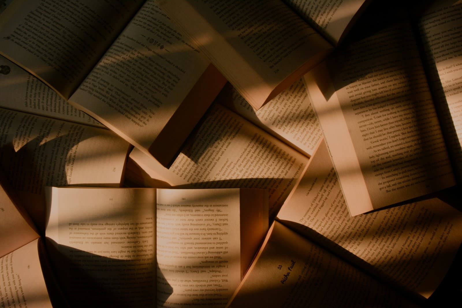 Sustainability Book of the Year Nominees
