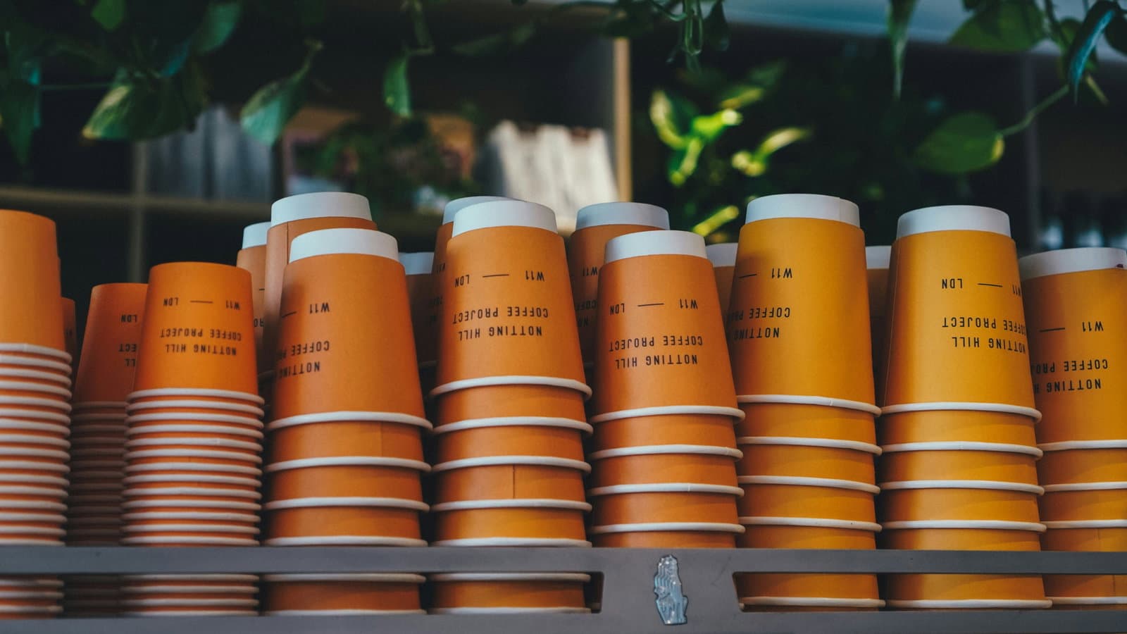 Can seaweed save us from billions of plastic-lined coffee cups?
