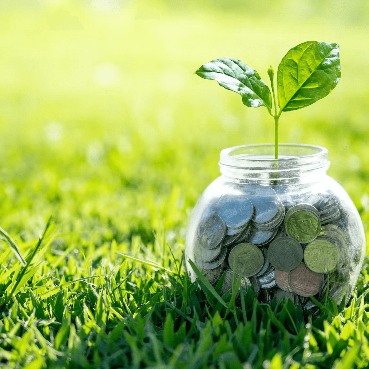 In the mood for sustainable funds? How feeling pessimistic can influence where investors put their money